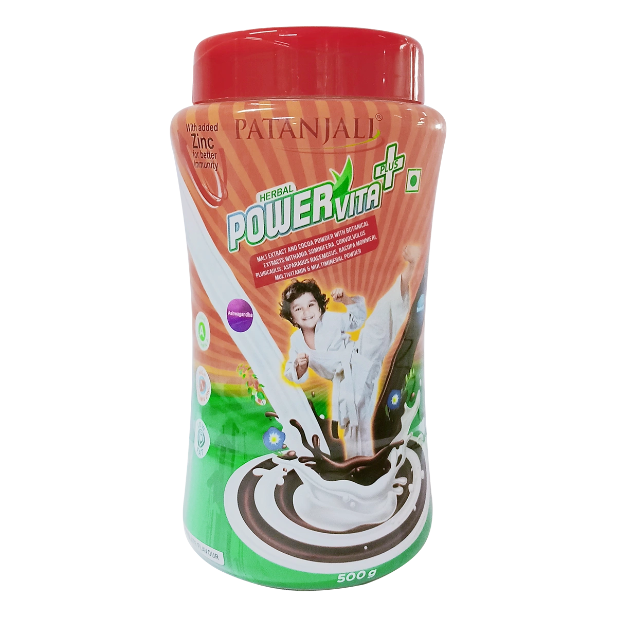Patanjali Herbal Powervita Plus 500gm