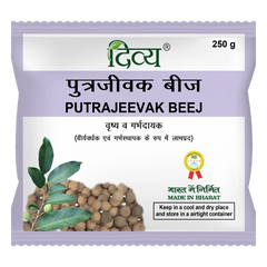 Patanjali Divya Putrajeevak Beej 250gm
