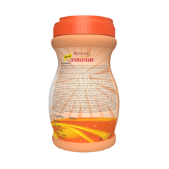 Patanjali Special Chyawanprash 500gm