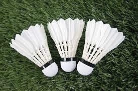 The MLS Special Feathers Shuttlecock , Perfect For Competition & Training | White , Pack Of 10