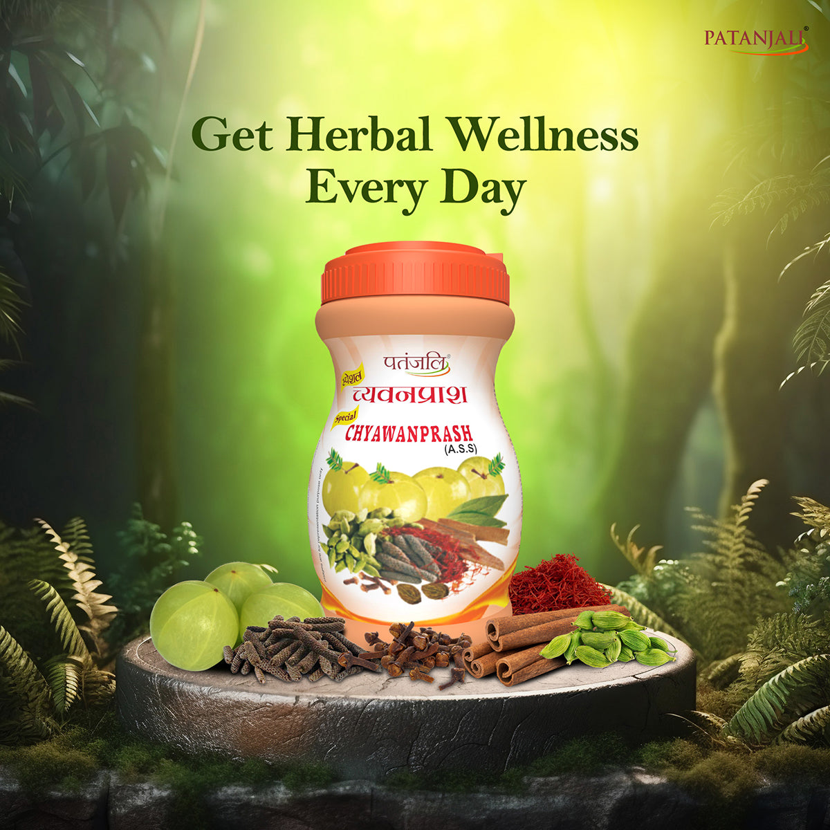 Patanjali Special Chyawanprash 500gm