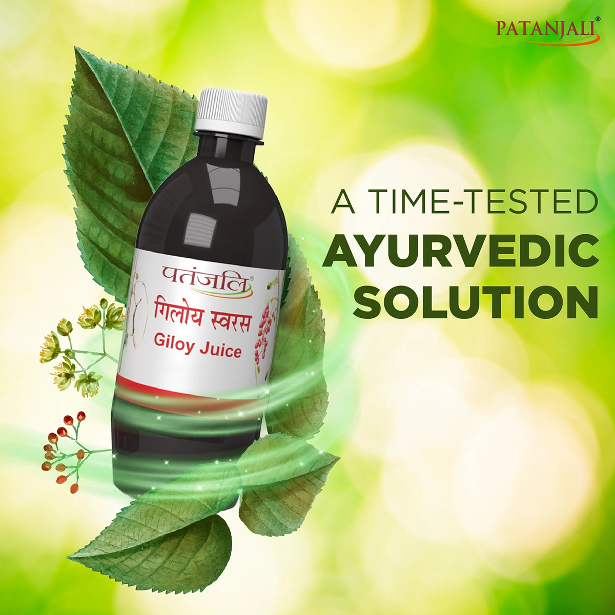 Patanjali Giloy Juice 500ml