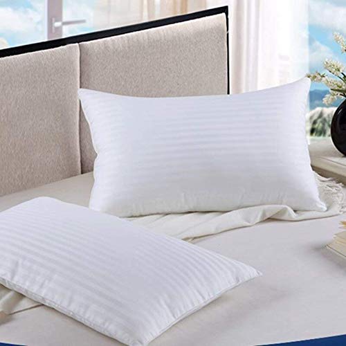 Sleeping Pillows, Premium Conjugated Fiber Pillow, White - 16 Inch X 24 Inch | Standard Size, Sofa Pillow, Neck Support, Anti Allergic, Washable, Removable Cover - Set Of 2