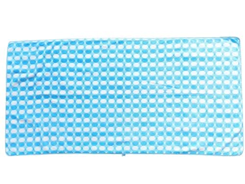 Status Contract Microfiber Bath & Hand Towels 600 Gsm | Soft Coral Fleece Towel With Hook Quick Dry Super Absorbent Stripes Bath Towel For Men & Women (Sky Blue)