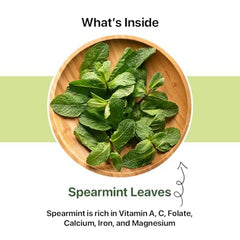 Blue Tea Spearmint Herbal Tea - 100gm Reusable Pet Jar, 3.5 Ounce, 100 Cups | Reduces Facial Hair, Balances Hormones, Supports Digestion - Caffeine Free Dried Loose Leaf