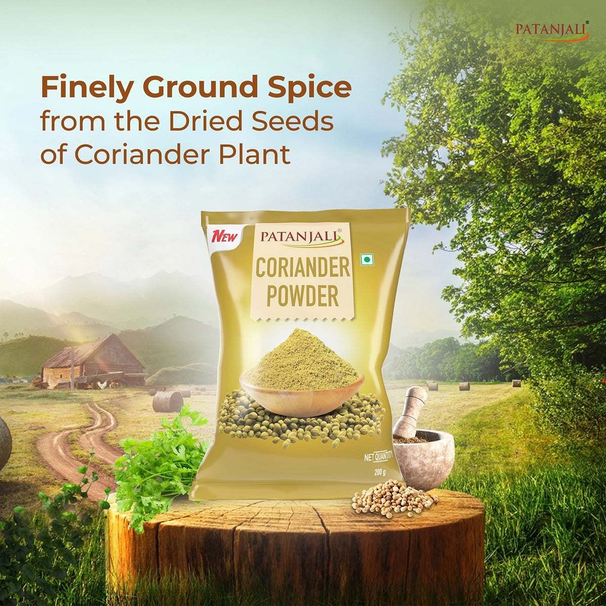 Patanjali Coriander Powder 200gm