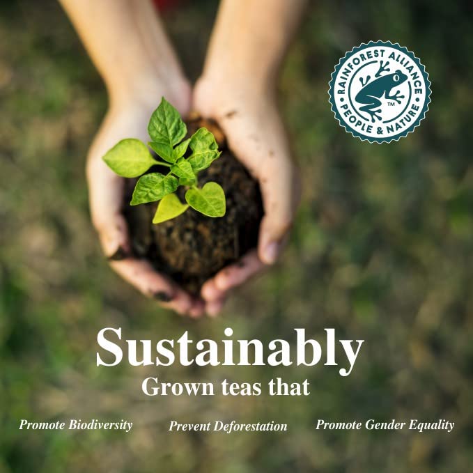 San-Cha Tulsi Green Tea - 25 Biodegradable Silky Tea Bags | Sweet & Intense Citrus Notes - Environment Friendly & Made In Corn Fiber | Low Caffeine