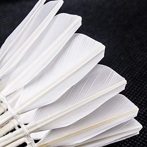 Senston ST - A7 Badminton Duck Feather Shuttlecocks With Excellent Stability Performance | White , Pack Of 6