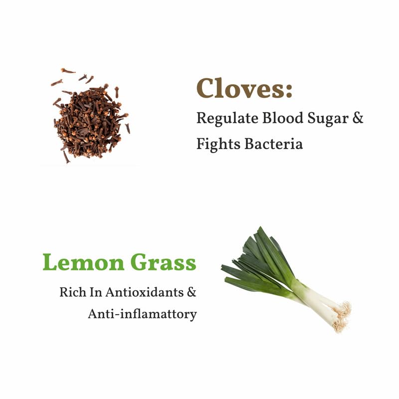 San-Cha Tea Boutique Green Tea Masala Chai - 100gm, 3.5 Ounce | Blend Of Cardamom, Pepper, Ginger, Cinnamon & Rose - Medium Caffeine Loose Leaves