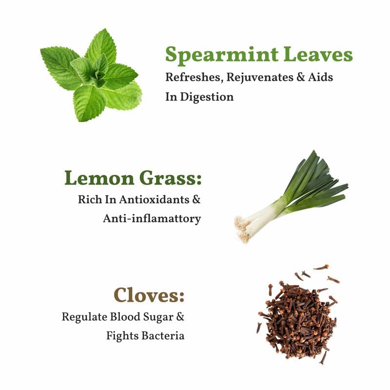 San-Cha Floral & Spicy Spearmint Herbal Tea - 25 Biodegradable Herbal Tea Bags | Herbal Tea For PCOS & PCOD - Eases Stomach Pain & Bloating | Caffeine Free