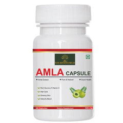 Nourishworld Amla Capsules Health Booster, Rich In Antioxidants, Provides Protection Against Infections, Pure Herbs | 60 Capsules, 100gm 0.2lbs
