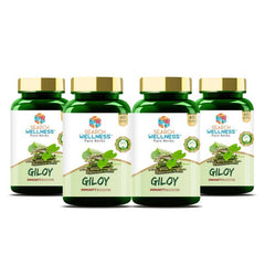 Search Wellness Ayurvedic Giloy Guduchi, Herbal Giloy Ghanvati For Blood Purification, Detoxifies The Body, Enhances Strength & Stamina, Immunity Booster | 60 Capsules 100gm 0.2lbs Each Pack Of 4