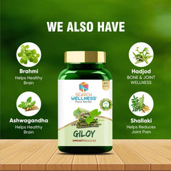 Search Wellness Ayurvedic Giloy Guduchi, Herbal Giloy Ghanvati For Blood Purification, Detoxifies The Body, Enhances Strength & Stamina, Immunity Booster | 60 Capsules 100gm 0.2lbs Each Pack Of 4