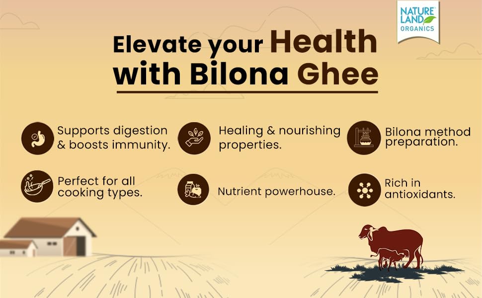 Pure Organic A2 Desi Cow Ghee By Natureland Organics | Delicious & Nutritious Healthy Desi Cow Ghee Good For Boost Immunity | (500ml) 16.9 Ounce | Jar Pack