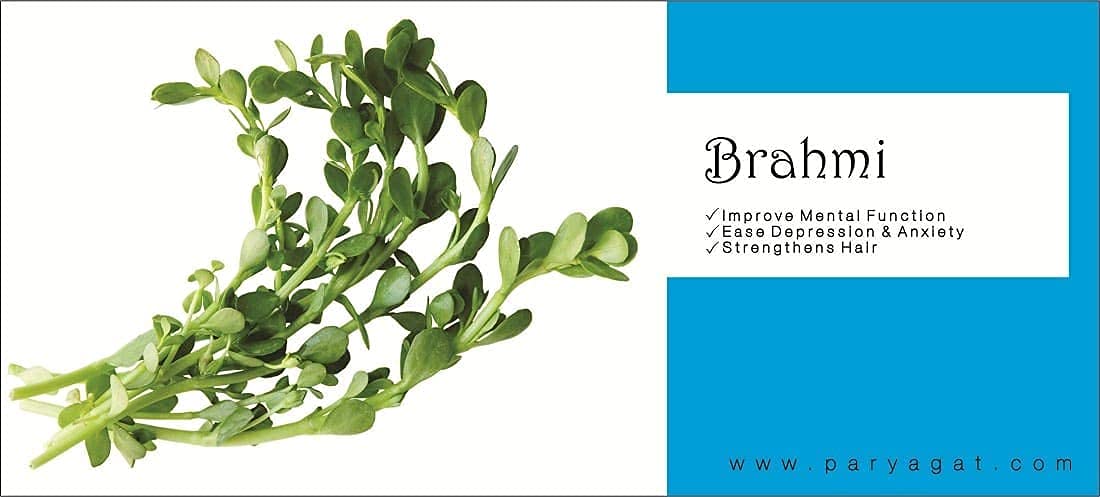 Paryagat Organic Brahmi Powder For Eating Bacopa Monnieri Leaves Powder For Immune Support, Long & Thick Hair Growth, Scalp Treatment, Dandruff Removal | 100gm 0.2lbs Each Pack Of 2