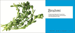 Paryagat Organic Brahmi Powder For Eating Bacopa Monnieri Leaves Powder For Immune Support, Long & Thick Hair Growth, Scalp Treatment, Dandruff Removal | 100gm 0.2lbs Each Pack Of 2