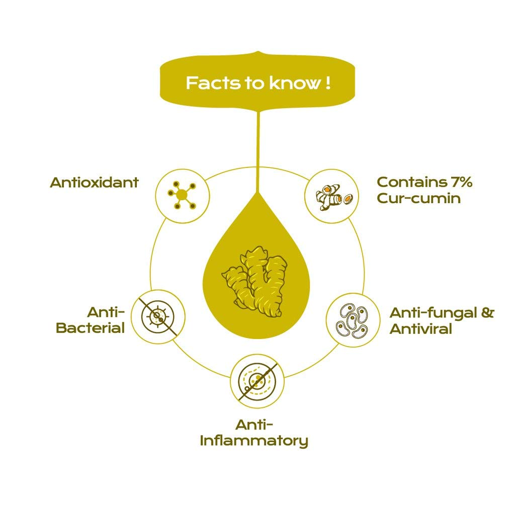 Spice Drop Turmeric Latte Extract - 180 Cups, 5ml, 0.1 Fl.Oz. | Authentic Indian Herbal Mix For Better Immune System - Natural & Ayurveda Recipe | Gluten Friendly, Keto Friendly, Non-GMO