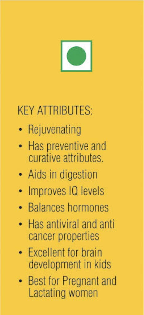 Pure Organic A2 Desi Cow Ghee By Natureland Organics | Delicious & Nutritious Healthy Desi Cow Ghee Supports Heart Health | (400ml) 13.5 Ounce | Jar Pack