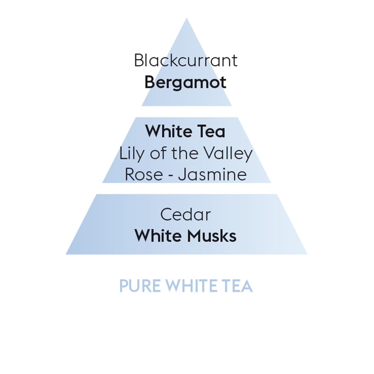 Maison Berger Glass Lamp Pure Frosted Oil Diffuser For Women 250ml 8.4 Fl.oz.