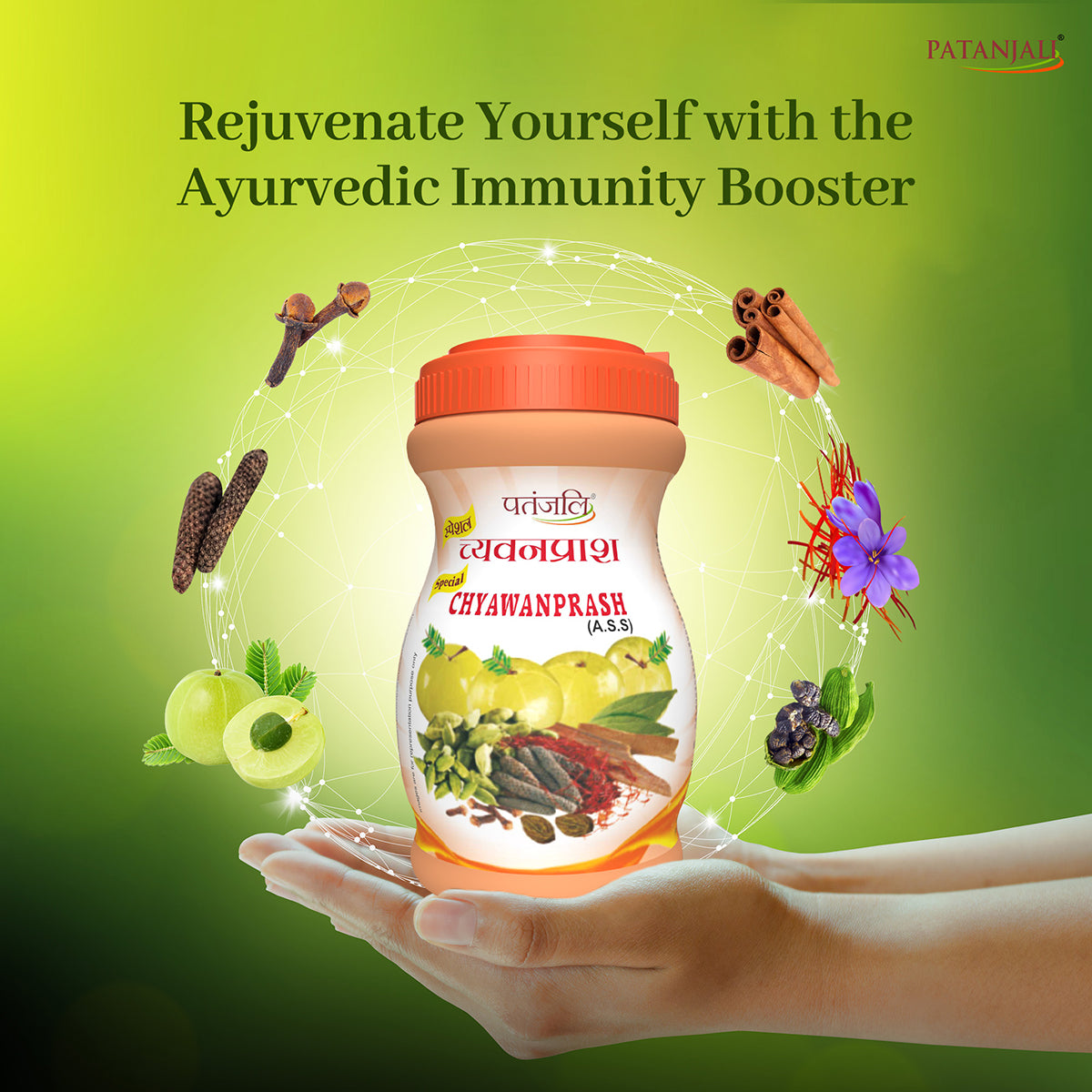 Patanjali Special Chyawanprash 500gm