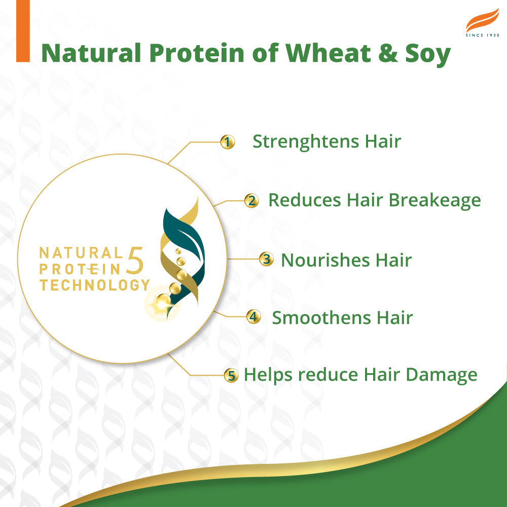 Himalaya Gentle Daily Care Natural Protein Shampoo, Gently Cleanses, Nourishes, Strengthens Hair | 80ml