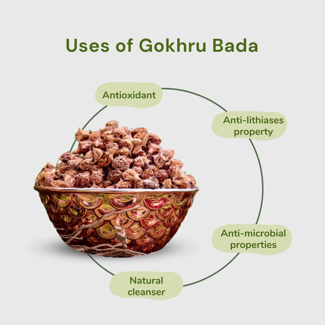 Dayakishan Gokhru Bada, Gokshura Big, Gokharu Bada Whole, Raw Pedalium Murex, Sabut Gokhru Bada, Tribulus Terrestris, Gokhru Seeds, Large Caltrops, Palleru, Nerunjil | 900gm 1.9lbs