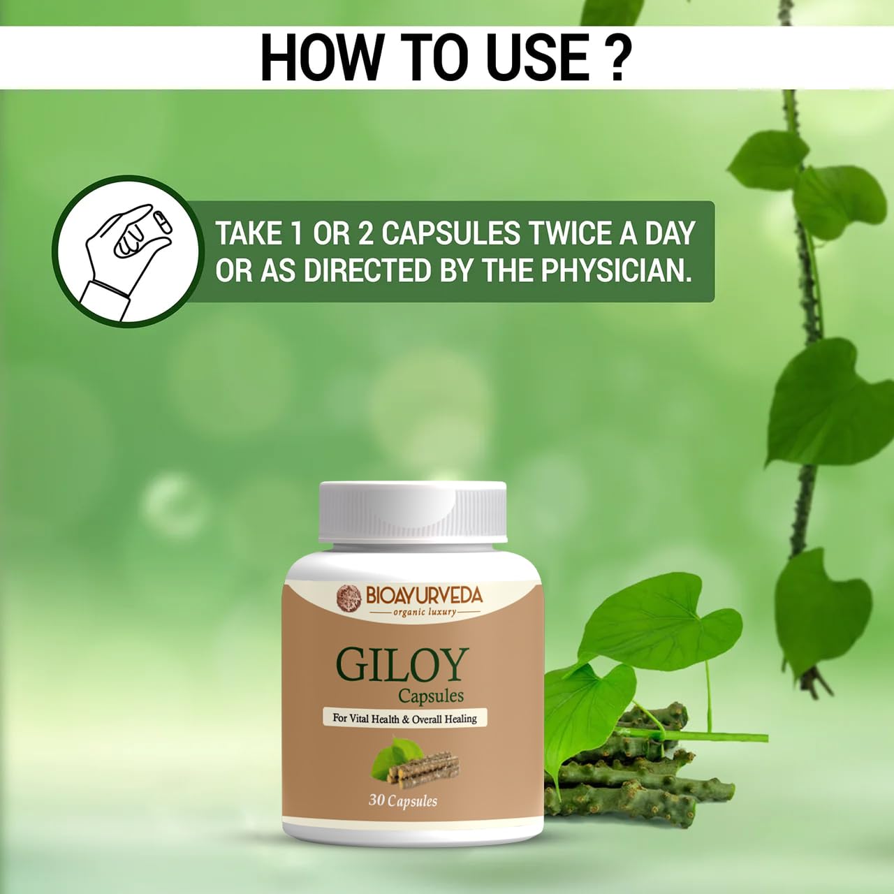 Bioayurveda Giloy Capsule Strengthens Immunity Wellness, Guduchi, Help In Boosting Immunity & Helps Enhancing Overall Immune Function | 30 Capsules 50gm 0.1lbs