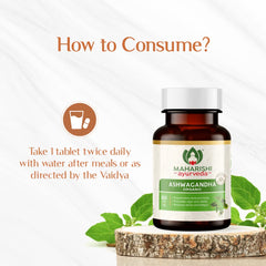 Maharishi Ayurveda Organic Ashwagandha 100% Organic General Wellness Tablets Rejuvenates Mind & Body Made With Pure Herbs | 60 Tablets 100gm 0.2lbs Each Pack Of 2