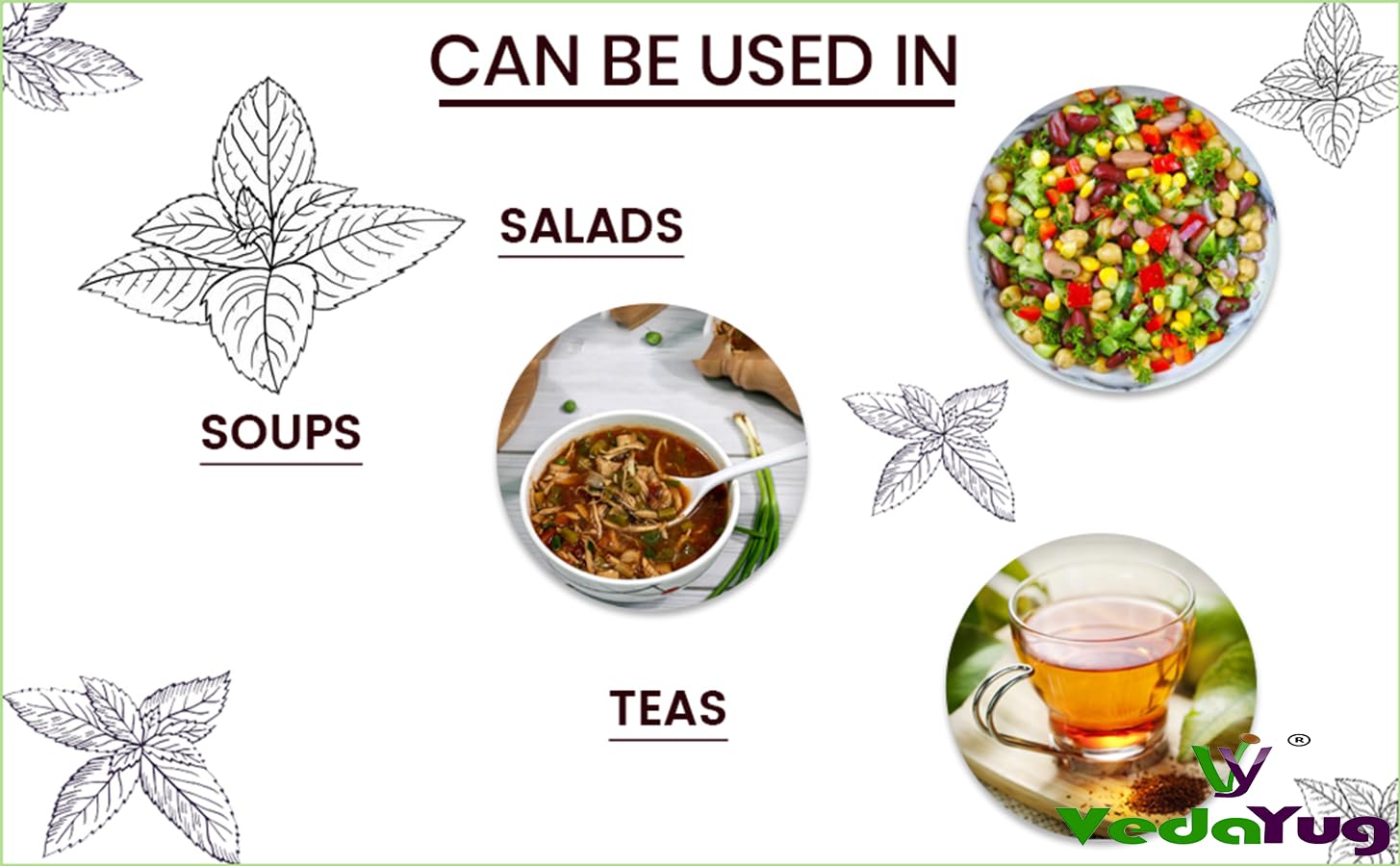 VedaYug Nettle Leaf Tea - 25gm, 0.8 Ounce | Treats Painful Muscles, Rich Aroma & Flavor - No Preservatives, No Additives