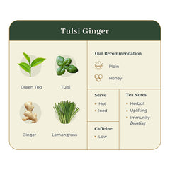 McLeod Russel 1869 Tulsi Ginger Green Tea - 70gm, 2.4 Ounce, 15 Pyramid Tea Bags | Immunity-Booster Long Leaf Green Tea - Pure & Natural Tulsi & Ginger | Low Caffeine