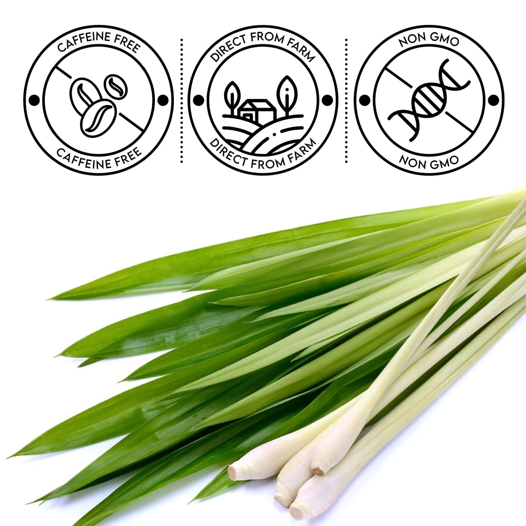 Yogafy Lemongrass Herbal Tea Leaves - Pack Of 2 X 100gm Reusable Pet Jar, 3.5 Ounce Each, 50 Cups | Boost Metabolism Used For Detox - Caffeine Free, Non GMO