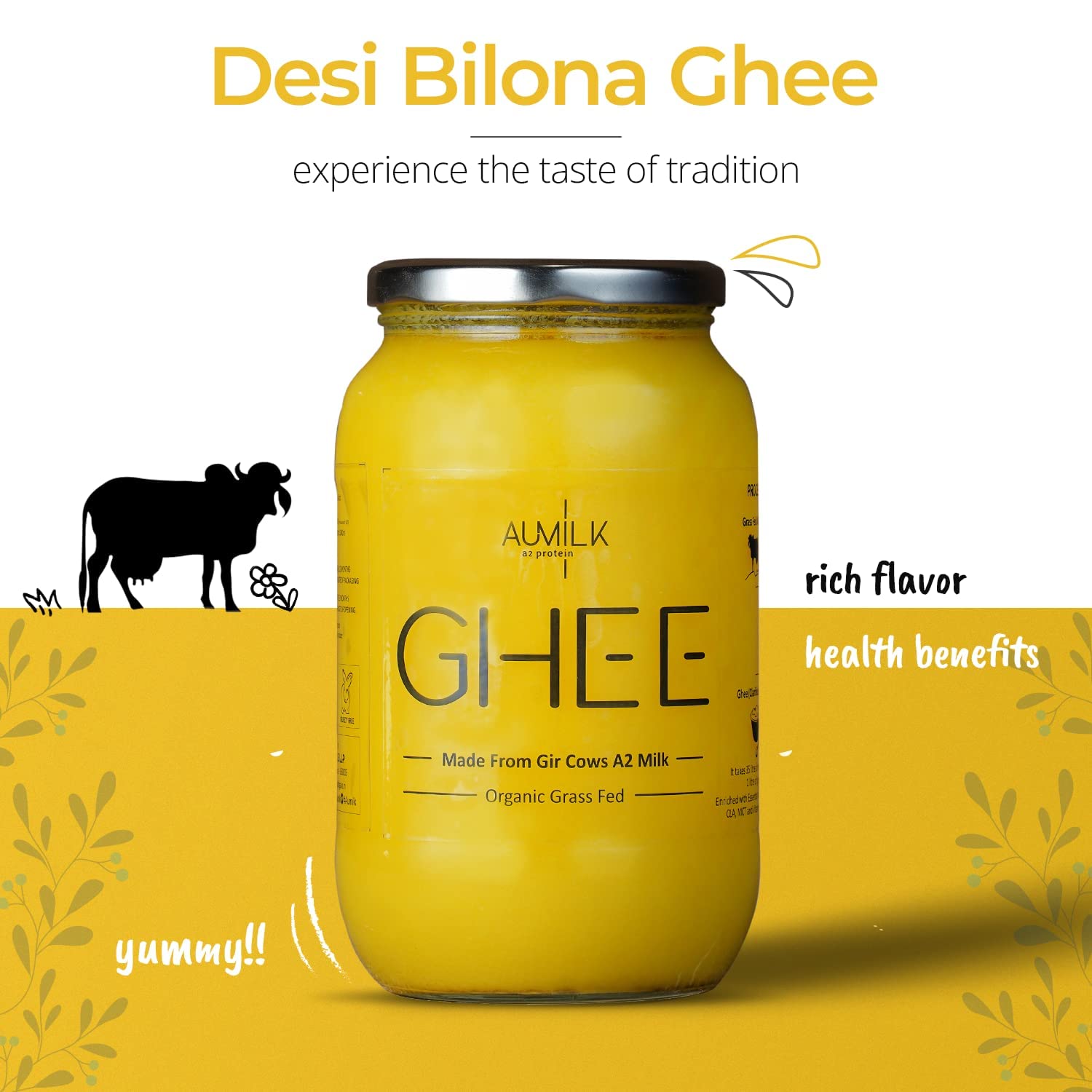 Natural Premium A2 Gir Cow Bilona Desi Ghee By Aumilk | Rich In Nutrients Healthy Desi Cow Ghee For Helps Improve Digestion | 500ml (250ml * 2) 16.9 Ounce | Jar Pack