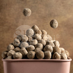 Shadani Ram Ladoo Can (270gm), Digestive Special Pachak Churan