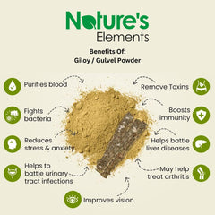 Natures Elements Gulvel Powder Giloy Guduchi Stem 100% Pure & Herbal, Ayurvedic For Natural Support To Increase Immunity For Men & Women | 80gm 0.1lbs