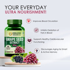 Himalayan Organics Grape Seed Extract 500mg Antioxidant Supplement, Healthy Cholesterol Level Boost Immunity, Promote Healthy Hair & Skin | 90 Veg Capsules 150gm 0.3lbs Each Pack Of 3