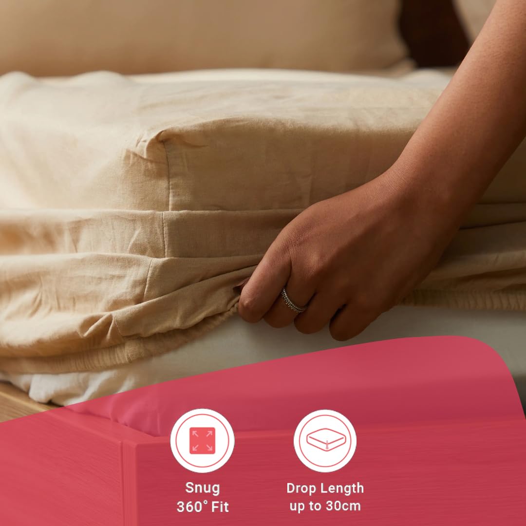 Plain Bedsheet For Double Bed King Size With 2 Pillow Covers - 72 X 78 Inches, Beige | All Around Elastic Fitted Sheet | 100% Cotton, Soft & Breathable - Collection
