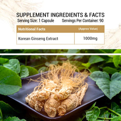Prasatti Herbal Organic Korean Red Ginseng 1000mg Supports Energy, Vitality & Strength, For Men & Women | 90 Veg Capsules 150gm 0.3lbs