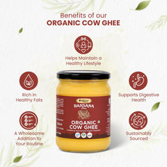 Natural Pure Barsana Magic Cow Ghee By Sanjeevani Organics | Rich In Nutrients & Protein Fiber Healthy Cow Ghee Supports Brain Health | (500ml) 16.9 Ounce | Jar Pack
