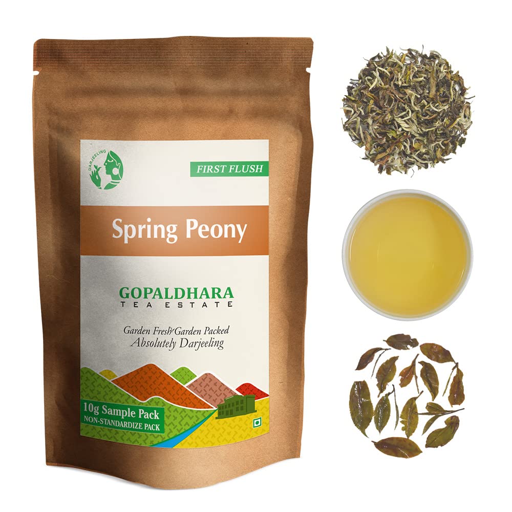 Gopaldhara Darjeeling Rare First Flush Tea Sample Pouches - Pack Of 6 Teas X 10gm, 0.35 Ounce Each | First Flush Low Caffeine Loose Leaves