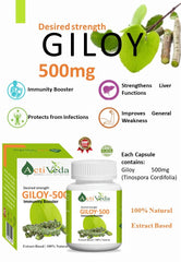 Activeda Giloy 500, Double The Strength To Boost The Immune System, No Side Effects & Suitable For Daily Use | 30 Capsules 50gm 0.1lbs
