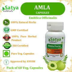 Satya Naturals Emblica Officinalis Amla, Amalaki Extract Capsules Highest Potency, 100% Herbal Product | 500mg 60 Veg Capsules 100gm 0.2lbs