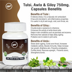 Rhone Private Limited Tulsi Awla Giloy Ayurvedic Immunity Wellness Capsules, Boost Immunity But Also Maintain Skin & Hair Health | 60 Capsules 100gm 0.2lbs