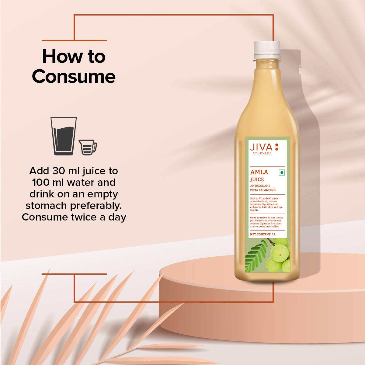 Jiva Amla Juice 100% Pure & Natural Helpful In Digestion, Enhance Skin, Hair & Eye | 1 Litre 2.2lbs Each Pack Of 2