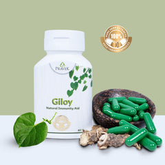 Pravek Giloy, Natural Immunity Aid Extract, Antioxidant Properties, Immunity Booster, Improves Overall Health & Well - Being | 60 Capsules 100gm 0.2lbs
