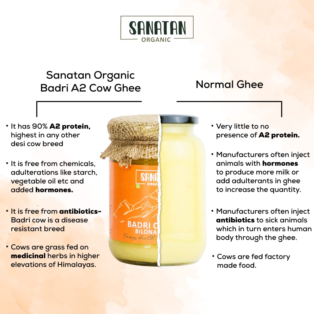 Pure Organic Badri Cow A2 Bilona Ghee By Sanatan Organic | Rich Source Of Vitamin A & Protein Fiber Healthy Pure Desi Cow Ghee For Baby Massage | (500ml) 16.9 Ounce | Jar Pack