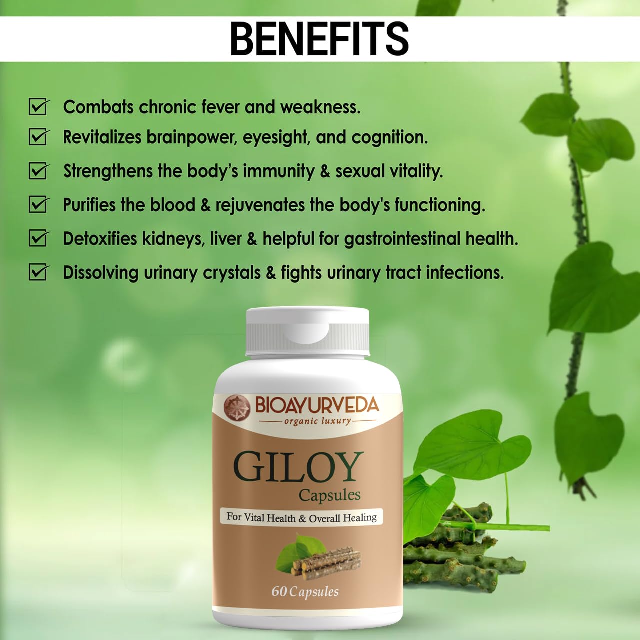 Bioayurveda Giloy Capsule Strengthens Immunity Wellness, Guduchi, Help In Boosting Immunity & Helps Enhancing Overall Immune Function | 60 Capsules 100gm 0.2lbs