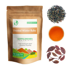 Gopaldhara Darjeeling Frosted Autumn Flush Tea Sample Pouches - Pack Of 5 Teas X 10gm, 0.35 Ounce Each | Autumn Flush Low Caffeine Loose Leaves