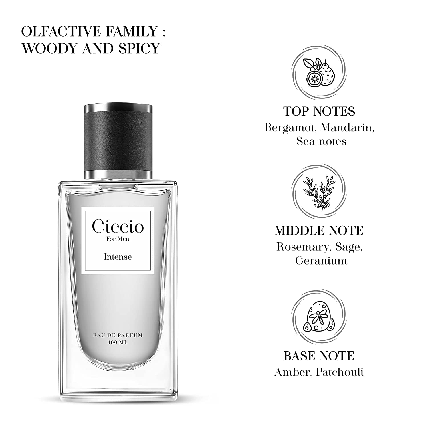 Ciccio Intense Eau De Parfum For Men 100ml 3.4 Fl.oz. Each Pack Of 2 | Long Lasting Luxury Fragrance