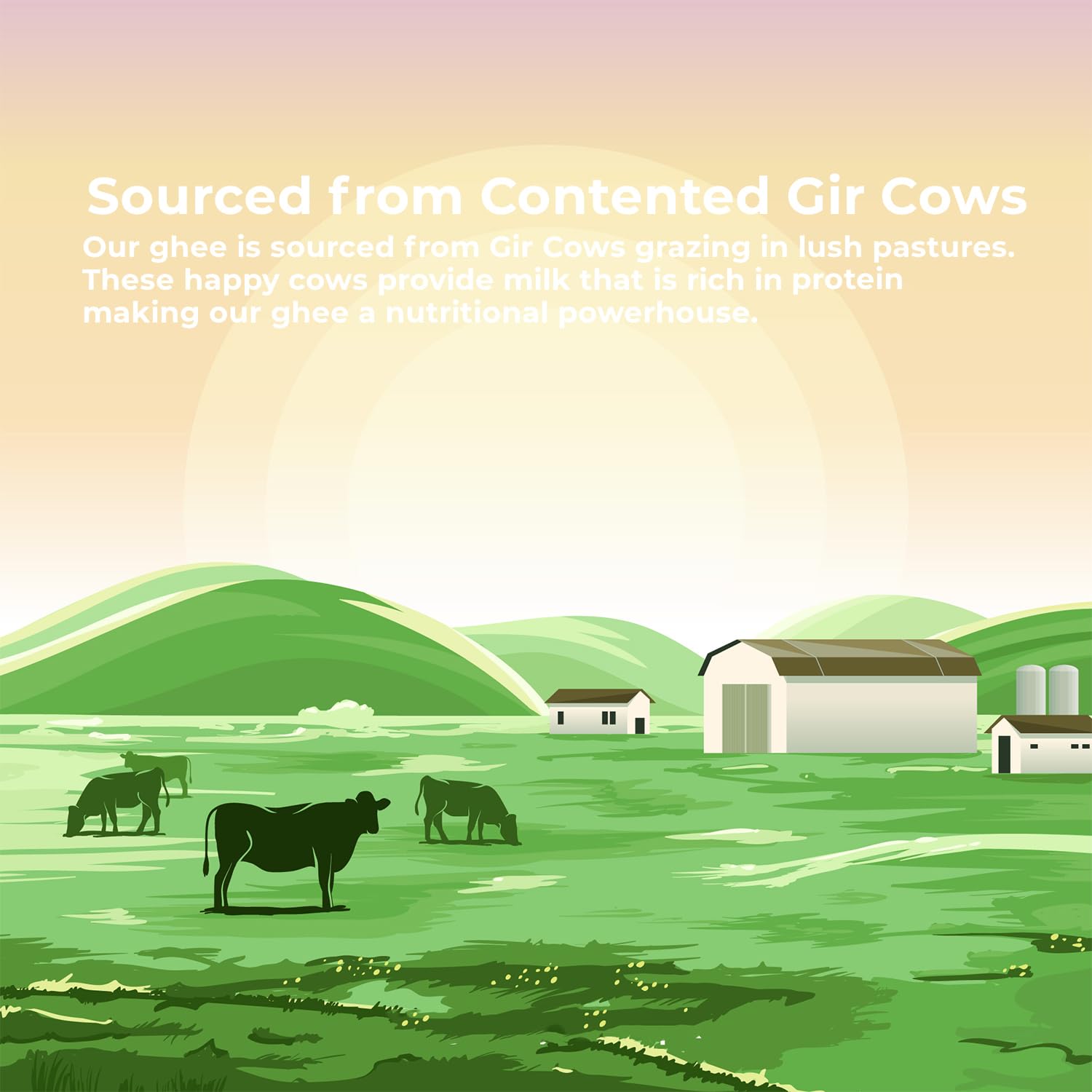 Organic Natural Desi A2 Gir Cow Ghee By Kalpataru Neeldev Enterprises | Vedic Bilona Method Curd-Churned Gir Cow Ghee Good For Health | (1 Litr) 33.8 Ounce | Jar Pack