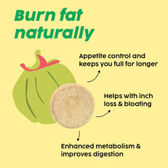 Plix The Plant Fix Garcinia Cambogia Tablet For Weight Loss, Ayurvedic Herbs, Ginger, Cinnamon, Improve Energy, Boost Metabolism, For Men & Women | 15 Effervescent Tablets 50gm 0.1lbs Each Pack Of 2